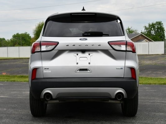 2020 Ford Escape SE in Louisville, KY - Neil Huffman Automotive Group